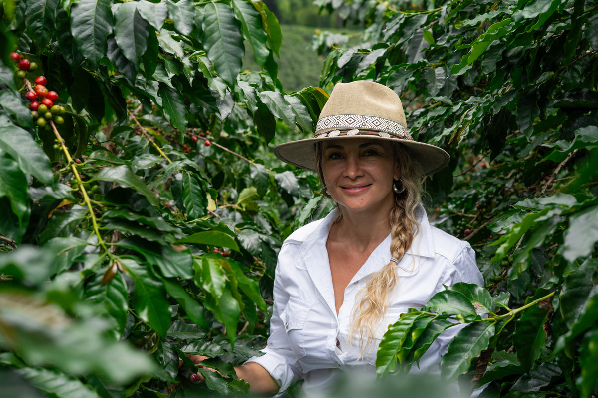 Co-Ferment Coffee Beans: Watermelon (8oz) Medium/Light Roast